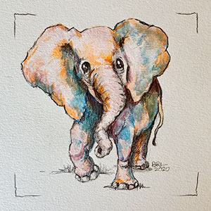 Elephant